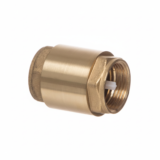 2½" BSP Brass Single Check Valve