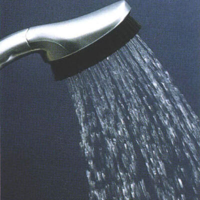 Grohe 28083 Brush Handshower
