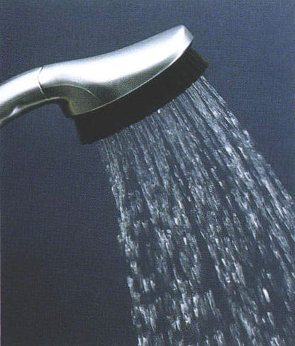 Grohe Brush handshower with G/Click