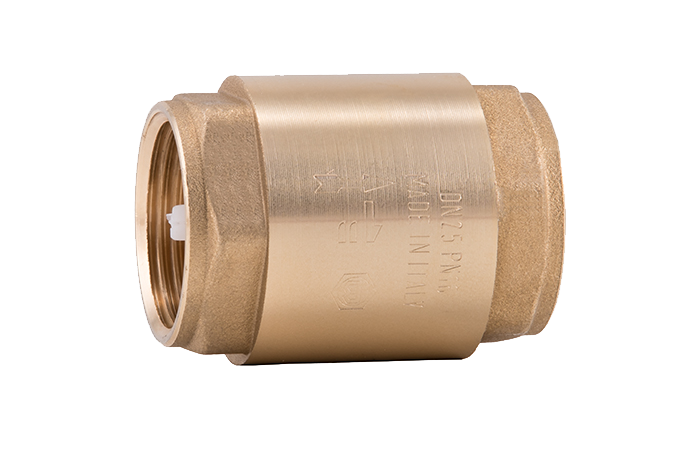 2 1/2" f x f Brass Single check valve