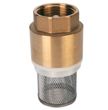 3/4" BSP Foot valve c/w strainer