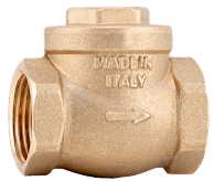 2 1/2" Brass Swing/Flap Check valve