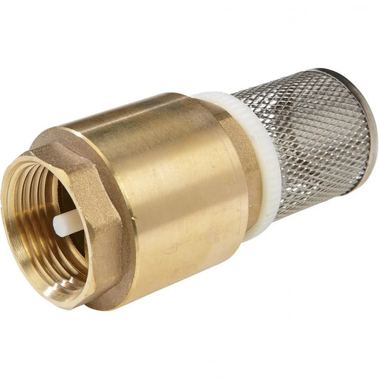 3" BSP Foot valve c/w strainer