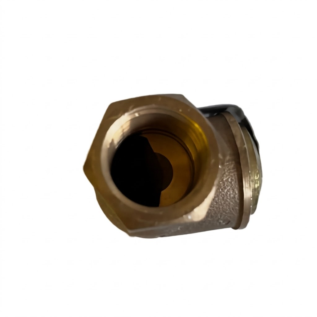 RWC 3/4" Check Valve and Strainer