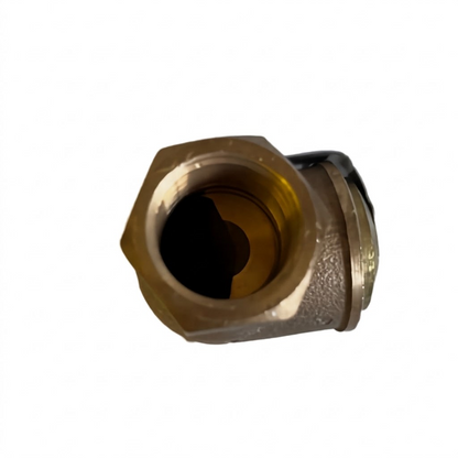 RWC 3/4" Check Valve and Strainer