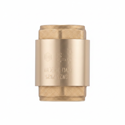 3" f x f brass single check valve - top view